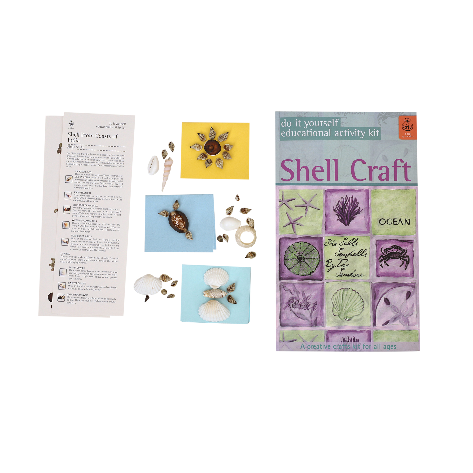 Shell Craft DIY Kit